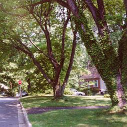 West down the street from House of Jeff