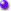 Dk Purple Dot