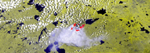 1993sa1_copy.jpg (17989 bytes)