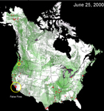 web3_s.jpg (33156 bytes)