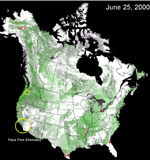 web4_s.jpg (26236 bytes)